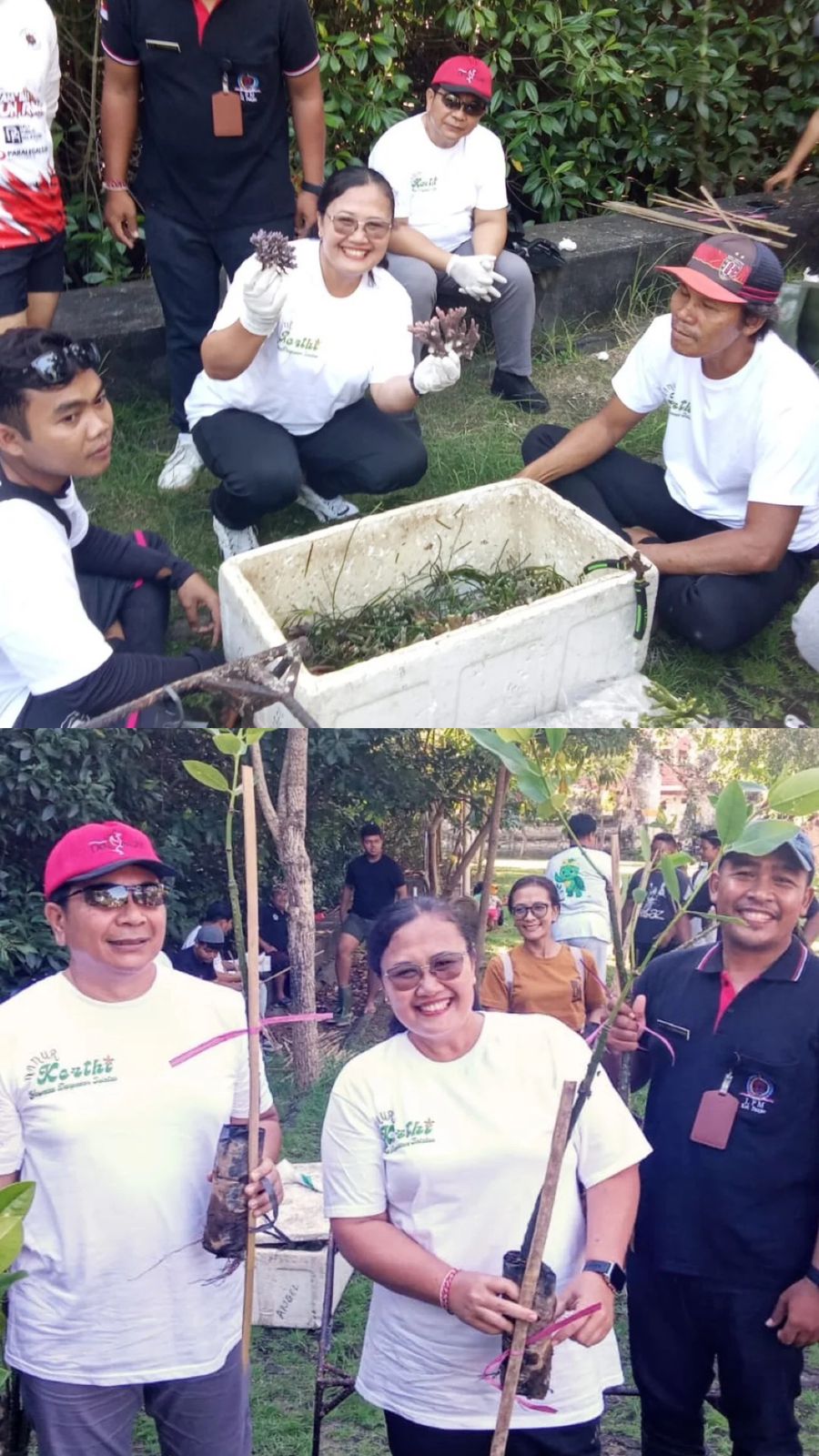 Peringati Hari Lingkungan Hidup Sedunia, Pasikian Yowana Denpasar Selatan Tanam Mangrove dan Transplantasi Terumbu Karang di Pura Sakenan